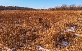 PXL_20230219_152719182